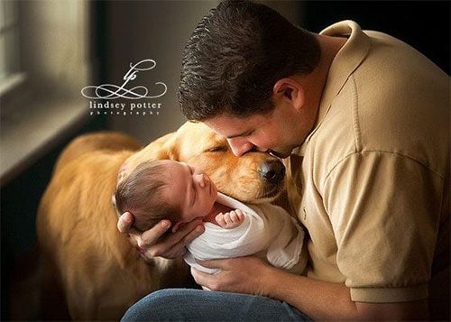 Dogs are Family