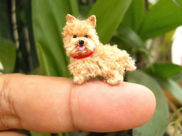 These Miniature Crochet Animals Are So Tiny They Will Sit