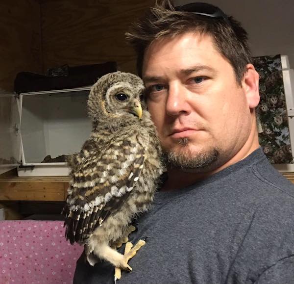 GreatHorned Owl Gives Her Rescuer A Loving Hug