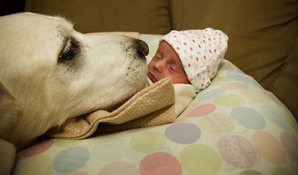 25 Of The Most Adorable Photos of Dogs And Kids On The Internet
