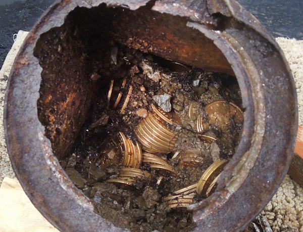 An image of the Saddle Ridge Hoard provided by Kagin’s, Inc.
