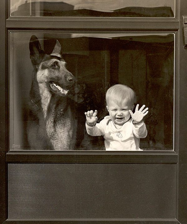 jimmy-daf