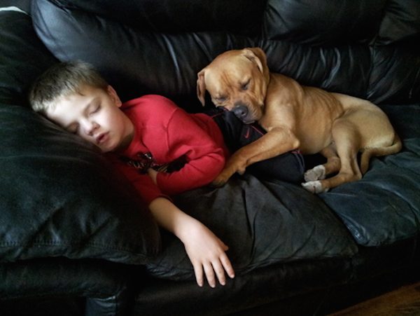 nap-time-daf