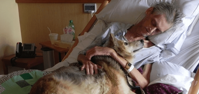 Dying Man’s Final Wish To See His Dog Again Is Moment People Will Never Forget