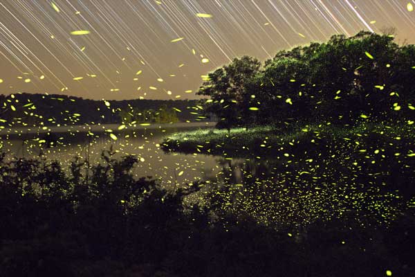 Ozarks