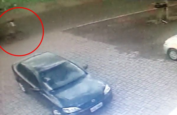 This Lucky Cyclist Could Have Lost His Life. Instead, What Happened is Completely UNBELIEVABLE!