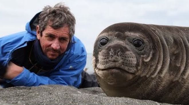 Journalist Meets Elephant Seal Pup And Has One Of The Most Remarkable Experiences Of His Life