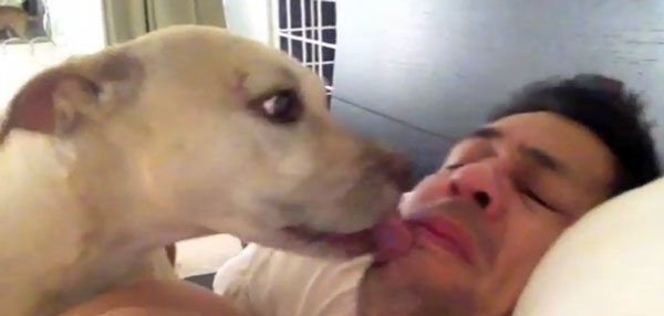 Dogs Make The Best Alarm Clocks