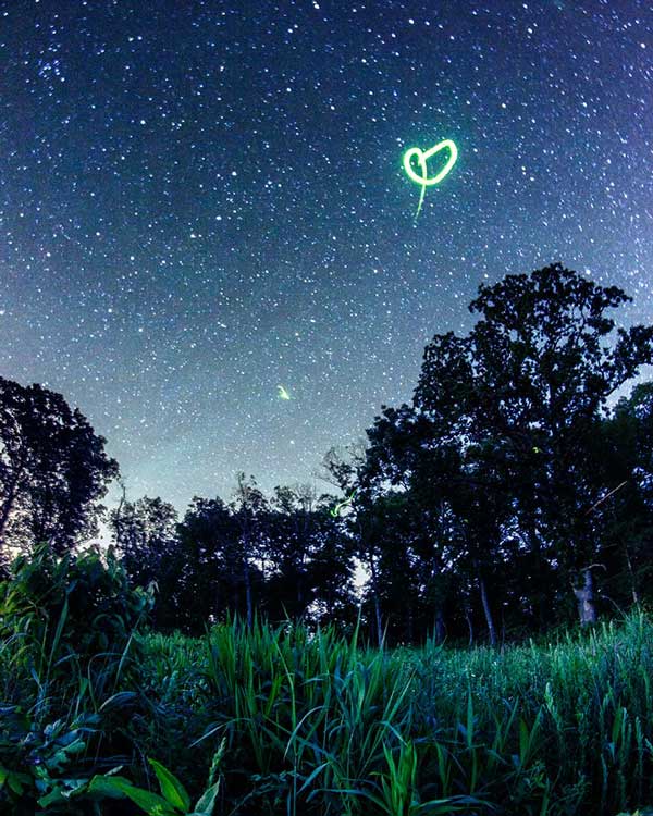 Fireflies by Vincent Brady