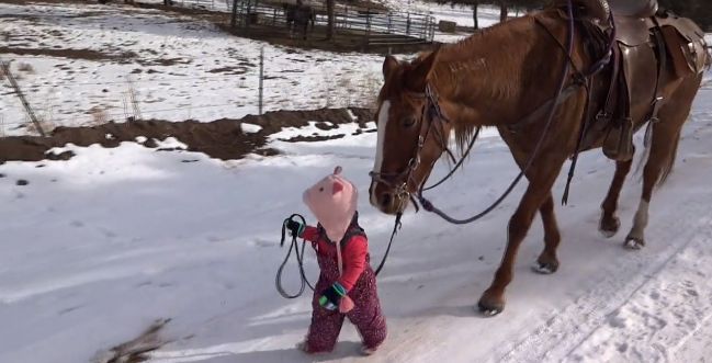 Toddler Adorably Encourages Horse To Walk With Her