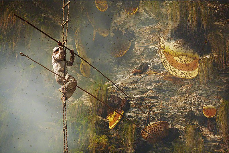 Gurung Honey Hunter