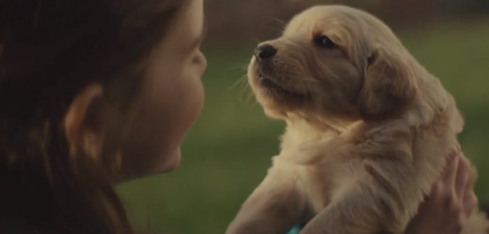 Story of a Lifelong Friendship Between a Girl and Her Dog Is Heartmelting
