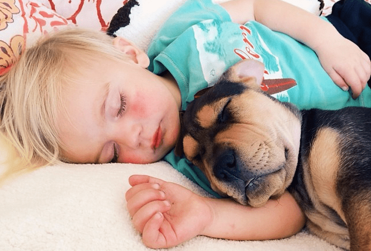 Family Rescues Abandoned Puppy And He Forms The Cutest Friendship With Baby Boy