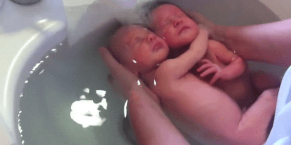 Newborn Twins Show Their Incredible Bond While Being Bathed