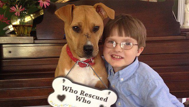Powerful Bond Saves Emaciated Dog And Autistic Boy