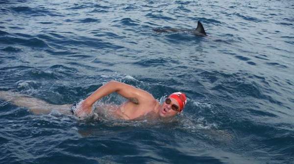 Adam Walker swims with dolphins