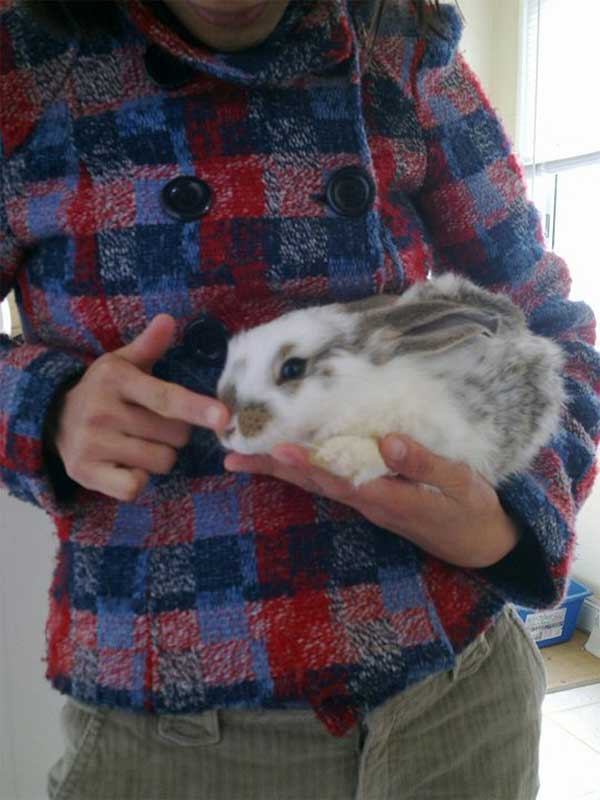 bunny09