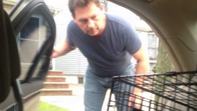 Dad Has Priceless Reaction When He Gets A New Puppy