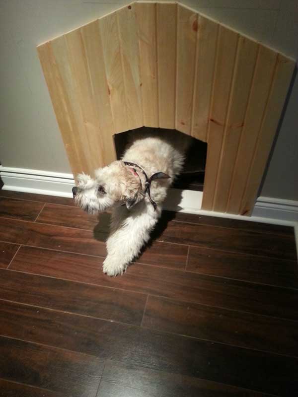 doghouse-12