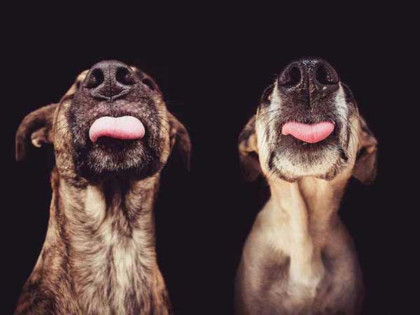Photo by Elke Vogelsang