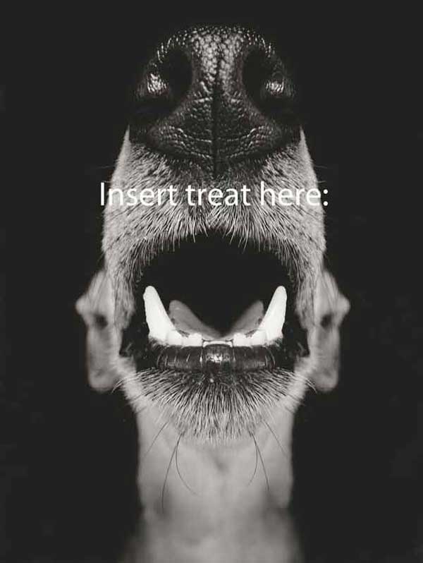 Photo by Elke Vogelsang