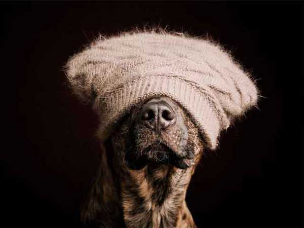 Photo by Elke Vogelsang