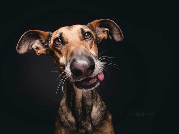 Noodles by Elke Vogelsang