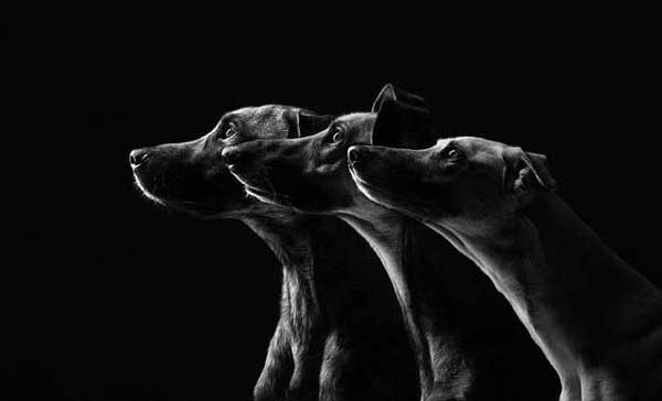 Photo by Elke Vogelsang