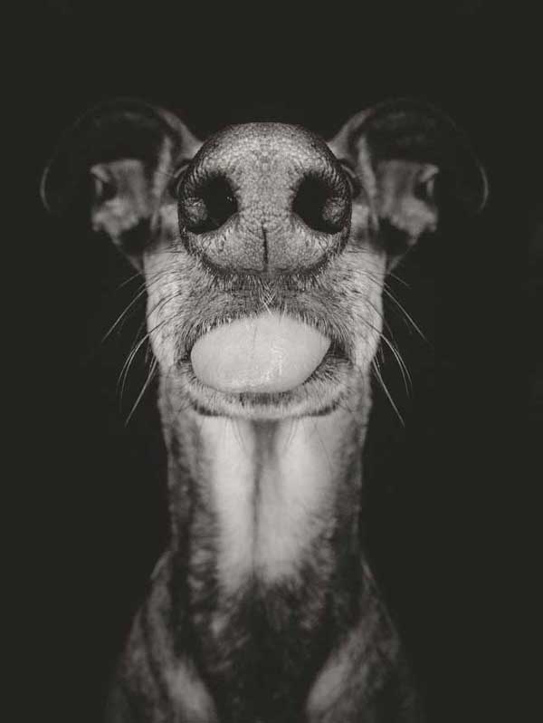 elke-vogelsang-23