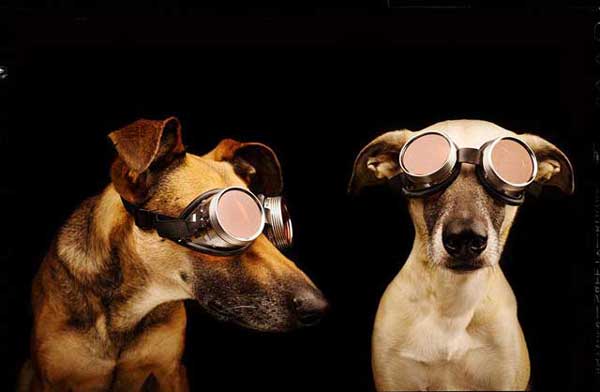 Photo by Elke Vogelsang