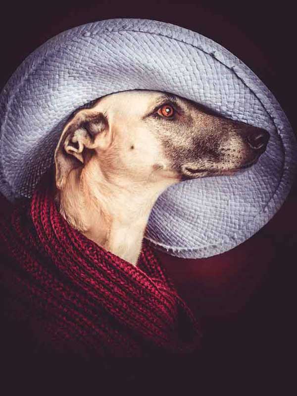 Photo by Elke Vogelsang