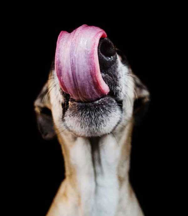 elke-vogelsang-27