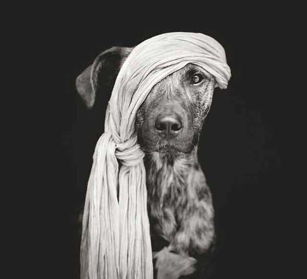 Photo by Elke Vogelsang