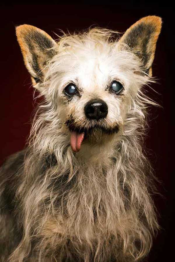 Photo by Elke Vogelsang
