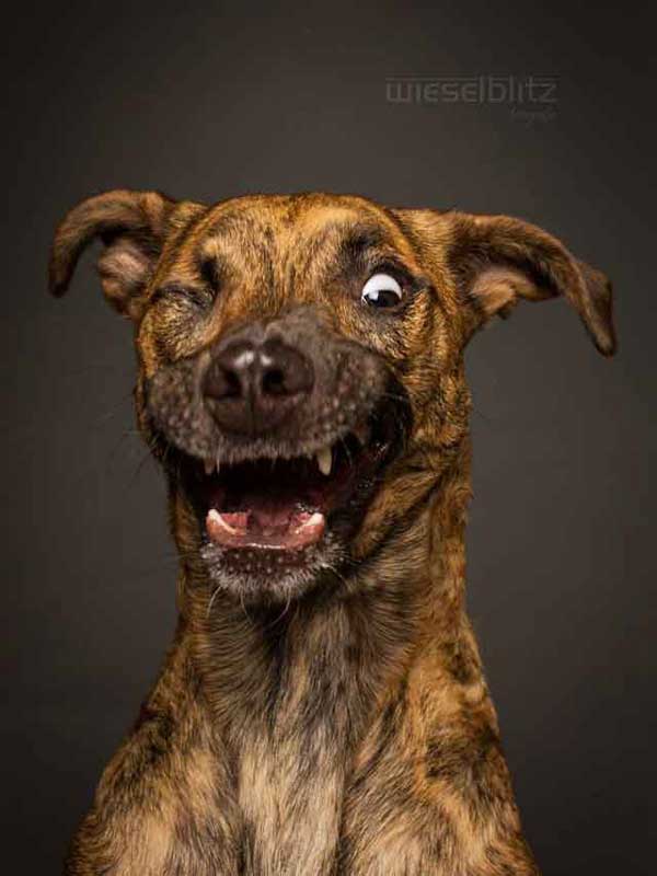 Ioli by Elke Vogelsang
