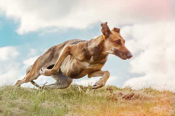 Photo by Elke Vogelsang