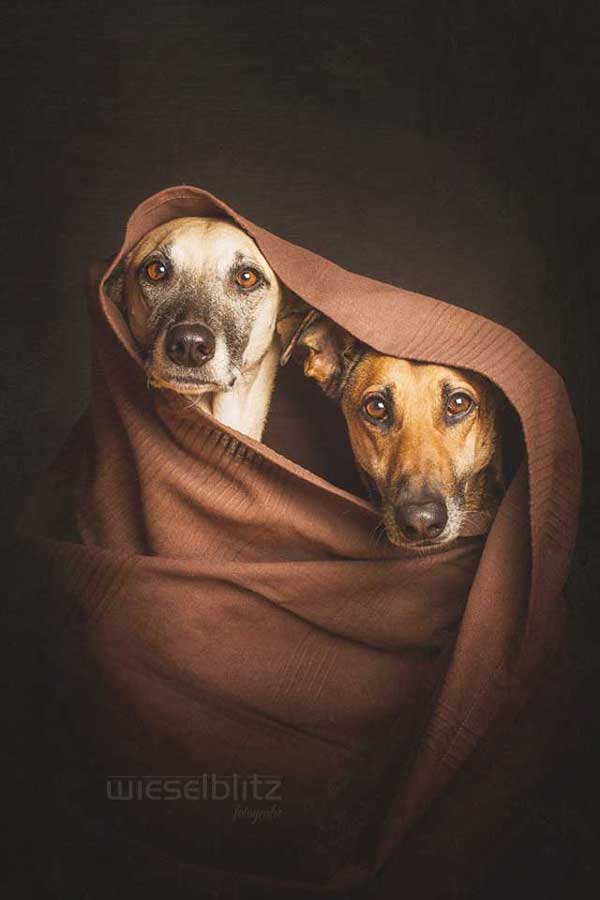 Photo by Elke Vogelsang