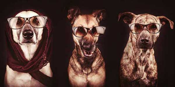 Photo by Elke Vogelsang