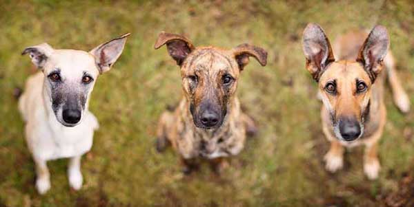 Photo by Elke Vogelsang