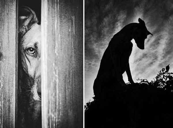 Photo by Elke Vogelsang