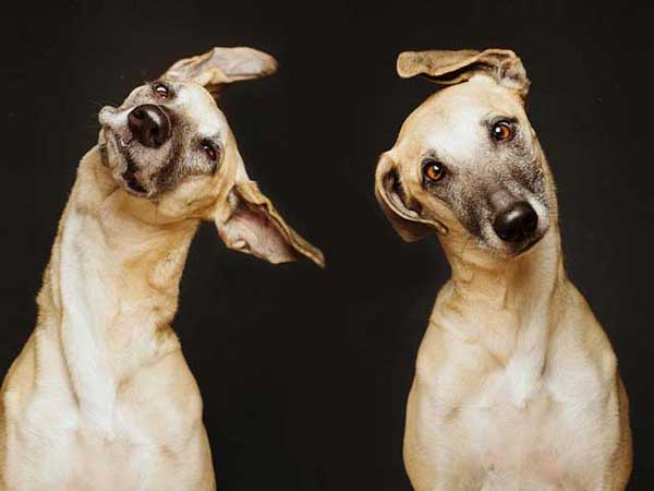 Photo by Elke Vogelsang