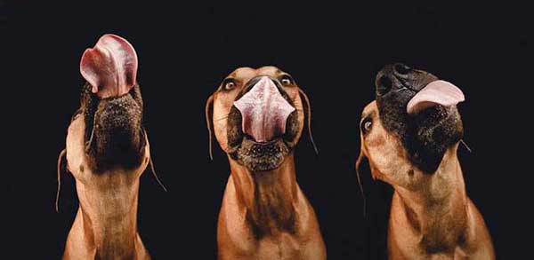 Photo by Elke Vogelsang