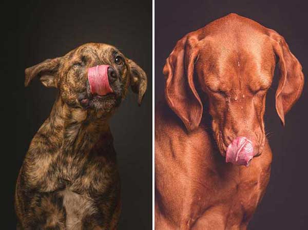 Photo by Elke Vogelsang