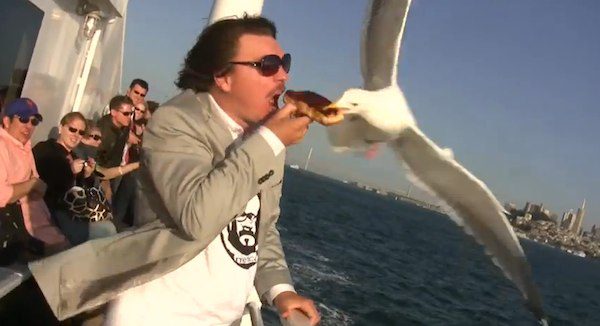 Hungry animals compilation