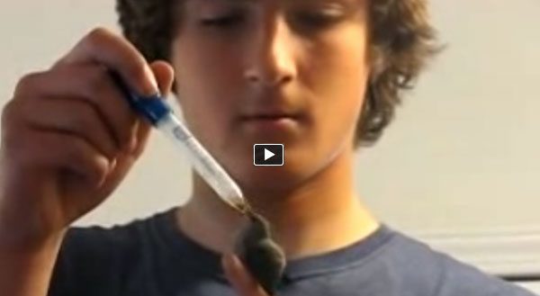 A Baby Hummingbird Was Injured And Left To Die Until This Young Man Came Along