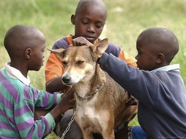 Incredible Dog Who Saved The Life Of An Abandoned Newborn Baby Has Lasting Legacy