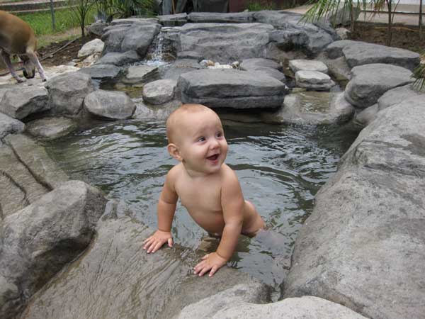 rockpool-29