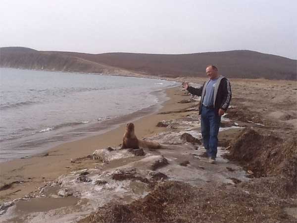 sea_lion_16
