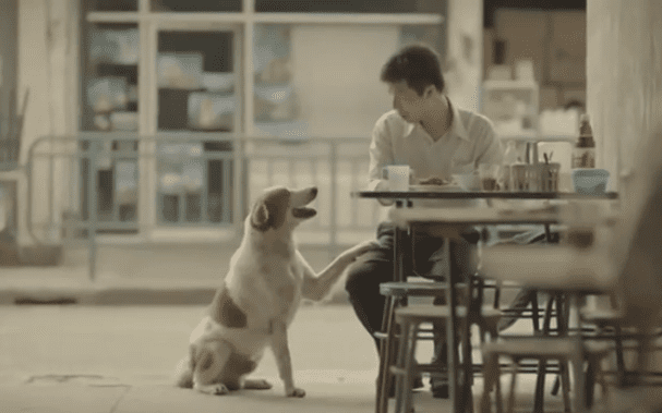 Man’s Acts Of Kindness Changes His Neighborhood In Thought-Provoking Video