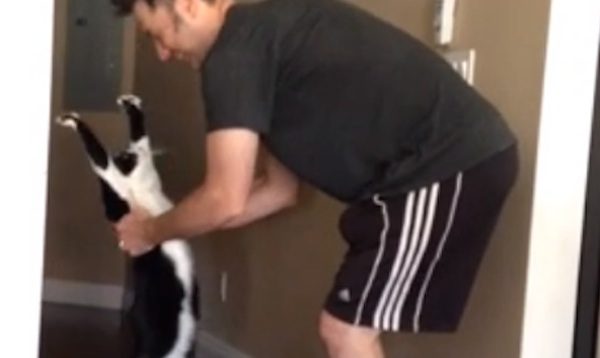 Cat Asks Dad For A Hug And It Is Adorable